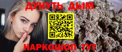 сатива Шебекино