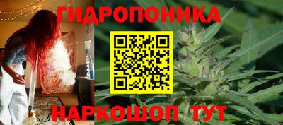 сатива Шебекино